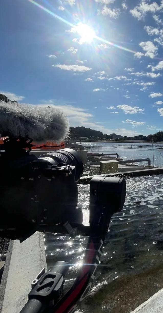 SNS運用のご依頼増えてます！